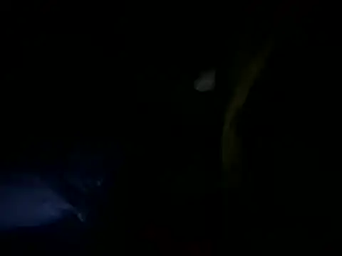 MahmudTheBator online show from 04.10.26