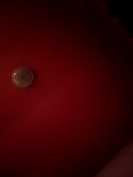 alexandruElena online show from 02.28.26