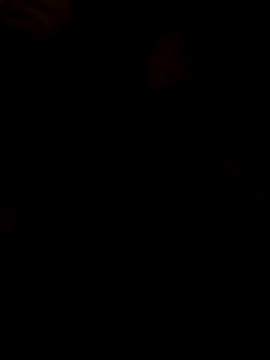 1234aminee online show from 03.01.26