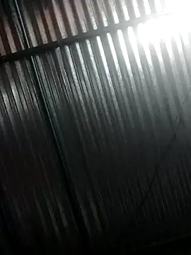 bombom 20 online show from 03.31.26