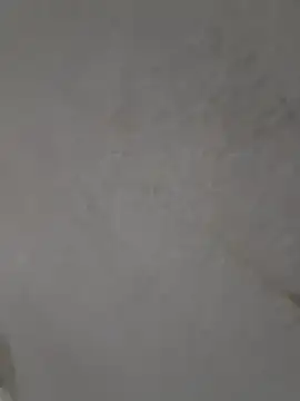 Snapshot of Casandraxquesi chatting on 03.11.26 Casandraxquesi online show from 03.11.26