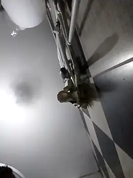 Snapshot of luys23 chatting on 04.04.26 luys23 online show from 04.04.26