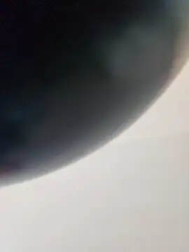 dufatcock online show from 04.14.26