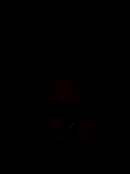 Snapshot of tina2005 chatting on 03.31.26 tina2005 online show from 03.31.26