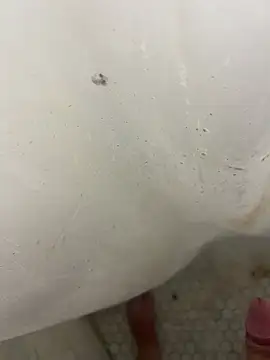 Jacobhj online show from 04.20.26