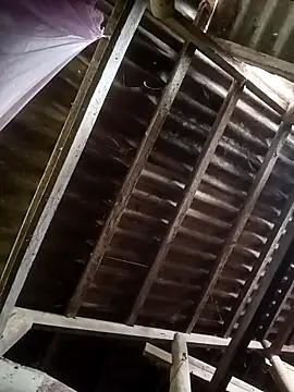 Nthk6 online show from 03.18.26