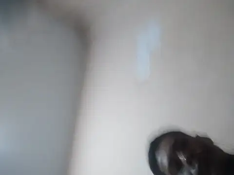 pappirico online show from 04.01.26