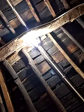 Snapshot of Alge882 chatting on 04.05.26 Alge882 online show from 04.05.26