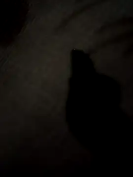 Snapshot of SEXY_COUPLE65 chatting on 03.24.26 SEXY COUPLE65 online show from 03.24.26