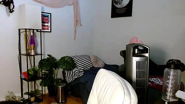 solifaye online show from 04.05.26