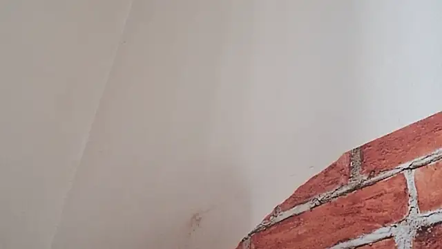 Sueliton2 online show from 03.28.26