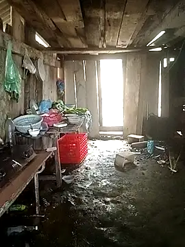 Lily Daisy online show from 03.25.26