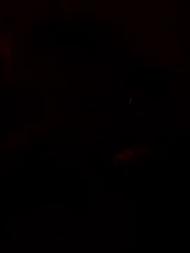 chefyahwan online show from 04.13.26