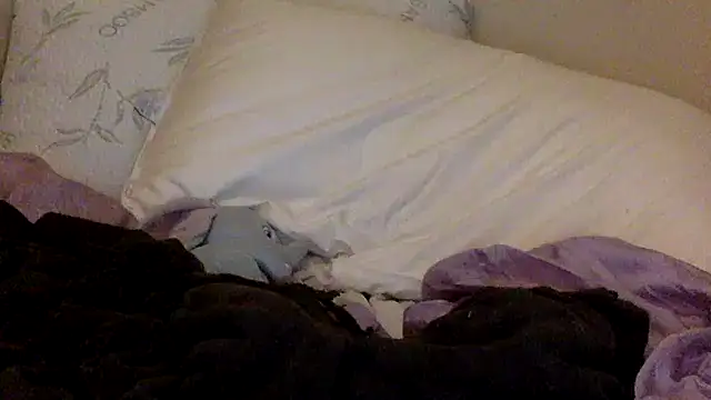 Snapshot of savannabanana chatting on 03.26.26 savannabanana online show from 03.26.26