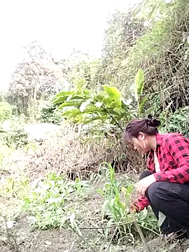 Snapshot of Giang-mylove chatting on 04.04.26 Giang-mylove online show from 04.04.26