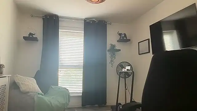 DaveRoyale online show from 04.12.26