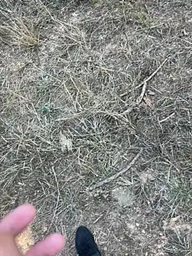 Snapshot of yingzi003 chatting on 04.07.26 yingzi003 online show from 04.07.26