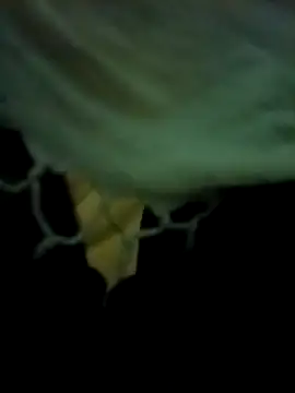 yourdreamman007  online show from 03.31.26