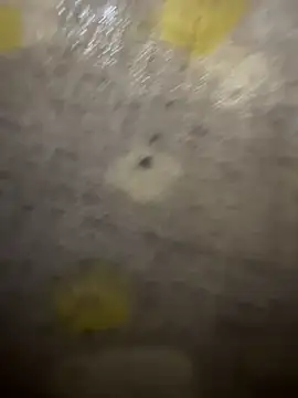 xezie online show from 04.10.26