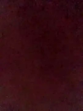 Snapshot of illdoitforetty chatting on 04.14.26 illdoitforetty online show from 04.14.26