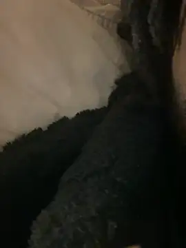 BBCboy365 online show from 04.12.26