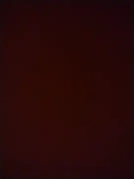 stibsas online show from 07.23.26