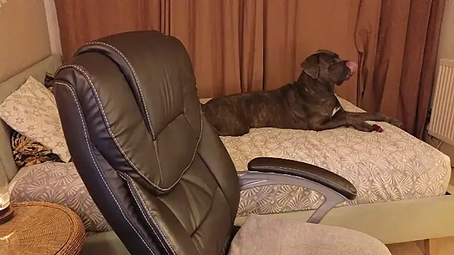 Sharon Red online show from 12.02.24