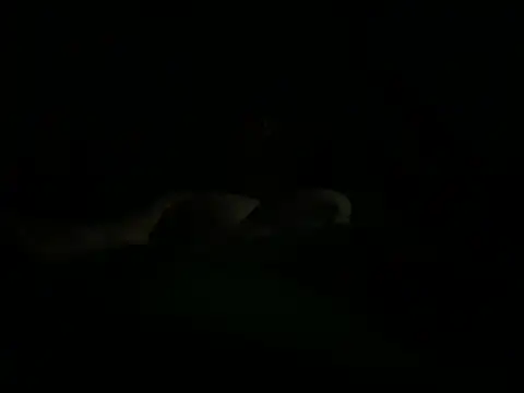 Snapshot of hunglikemeee chatting on 04.16.26 hunglikemeee online show from 04.16.26