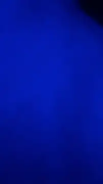 Snapshot of cutequeen11 chatting on 04.15.26 cutequeen11 online show from 04.15.26