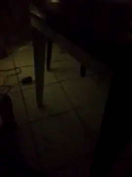 MorenoBelaAurora online show from 04.29.26