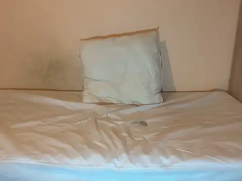 crazytranny online show from 01.18.25