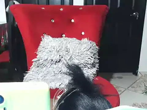 Snapshot of jannyheat chatting on 01.17.25 jannyheat online show from 01.17.25