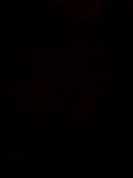 LonesomeMegawatt online show from 05.29.26