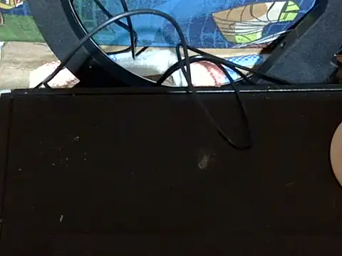 sweetcutey online show from 05.19.26