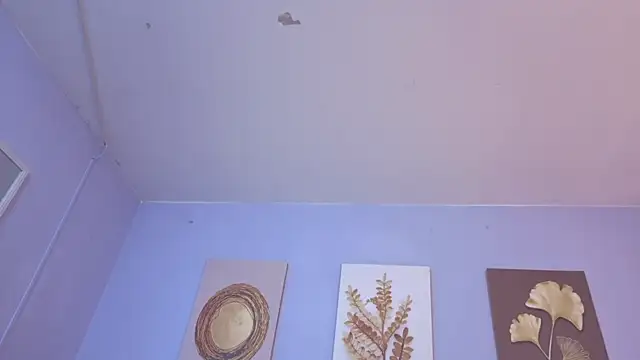 Nicolas Ford online show from 05.27.26