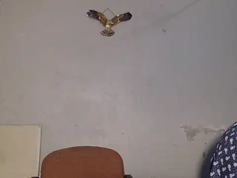 Snapshot of Frank_X_Husle chatting on 07.13.26 Frank X Husle online show from 07.13.26