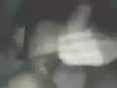 nicobboy22 online show from 06.03.26