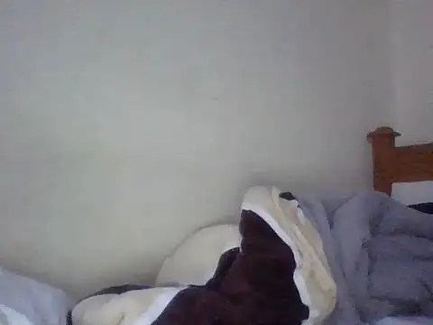 Dina Nina online show from 08.07.26