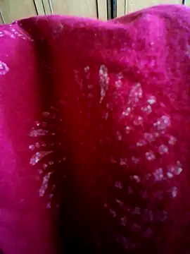 Snapshot of vandana-love chatting on 06.23.26 vandana-love online show from 06.23.26