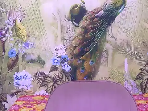its-ada online show from 06.18.26