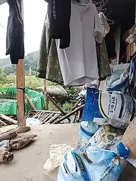 diana jj online show from 08.02.26