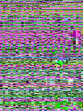 Snapshot of Jelmer57 chatting on 07.24.26 Jelmer57 online show from 07.24.26