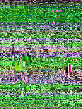 vanesssa rose online show from 07.04.26