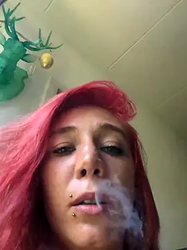 Kastella x online show from 07.11.26