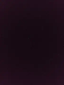 noirlynnexo online show from 08.06.26