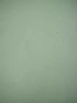 bitch77  online show from 07.14.26