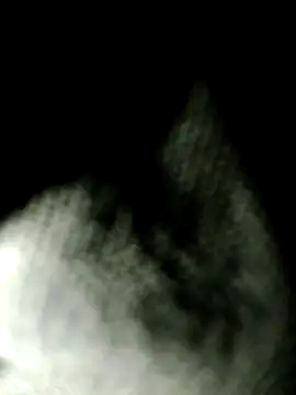 Snapshot of Cant_get_caught chatting on 07.29.26 Cant get caught online show from 07.29.26