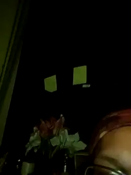 Snapshot of Meth_Hoe chatting on 02.01.26 Meth Hoe online show from 02.01.26