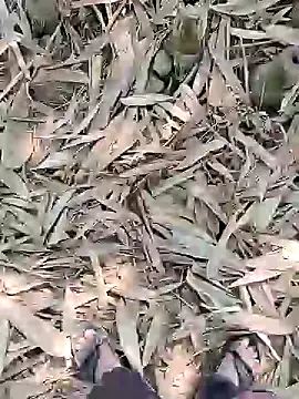 ThethunderPo online show from 02.21.25