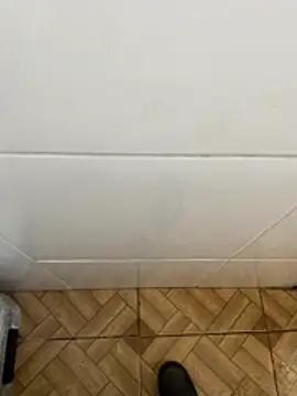 descret 19 online show from 02.11.26